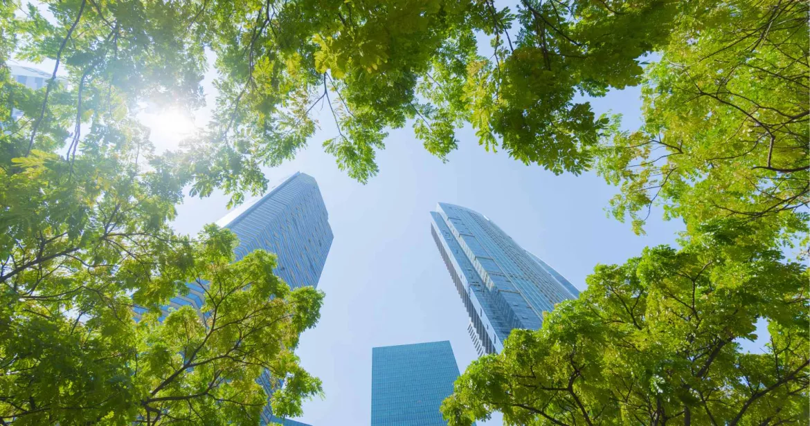 Buildings through through the trees from below