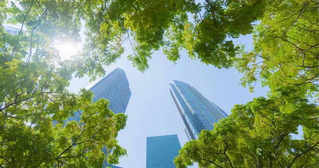Buildings through through the trees from below